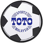 10 inch Soccer Flexible Flyers